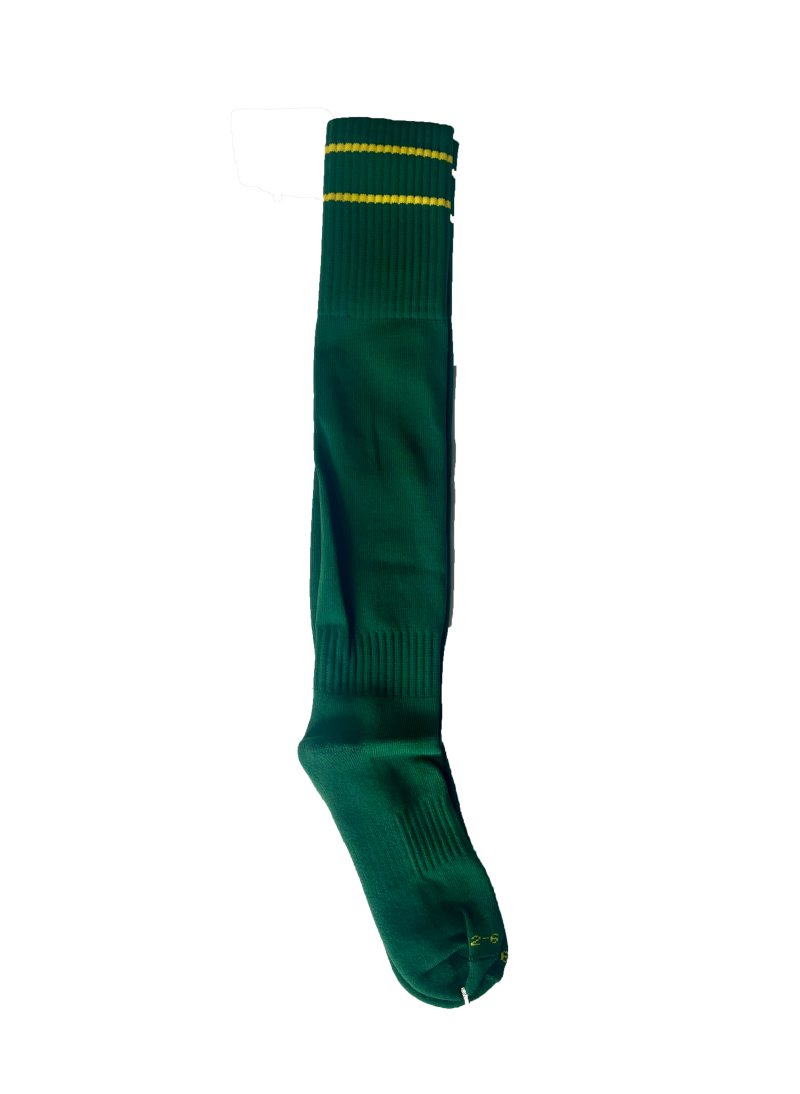 Aquinas College Green/Gold  Sports Socks